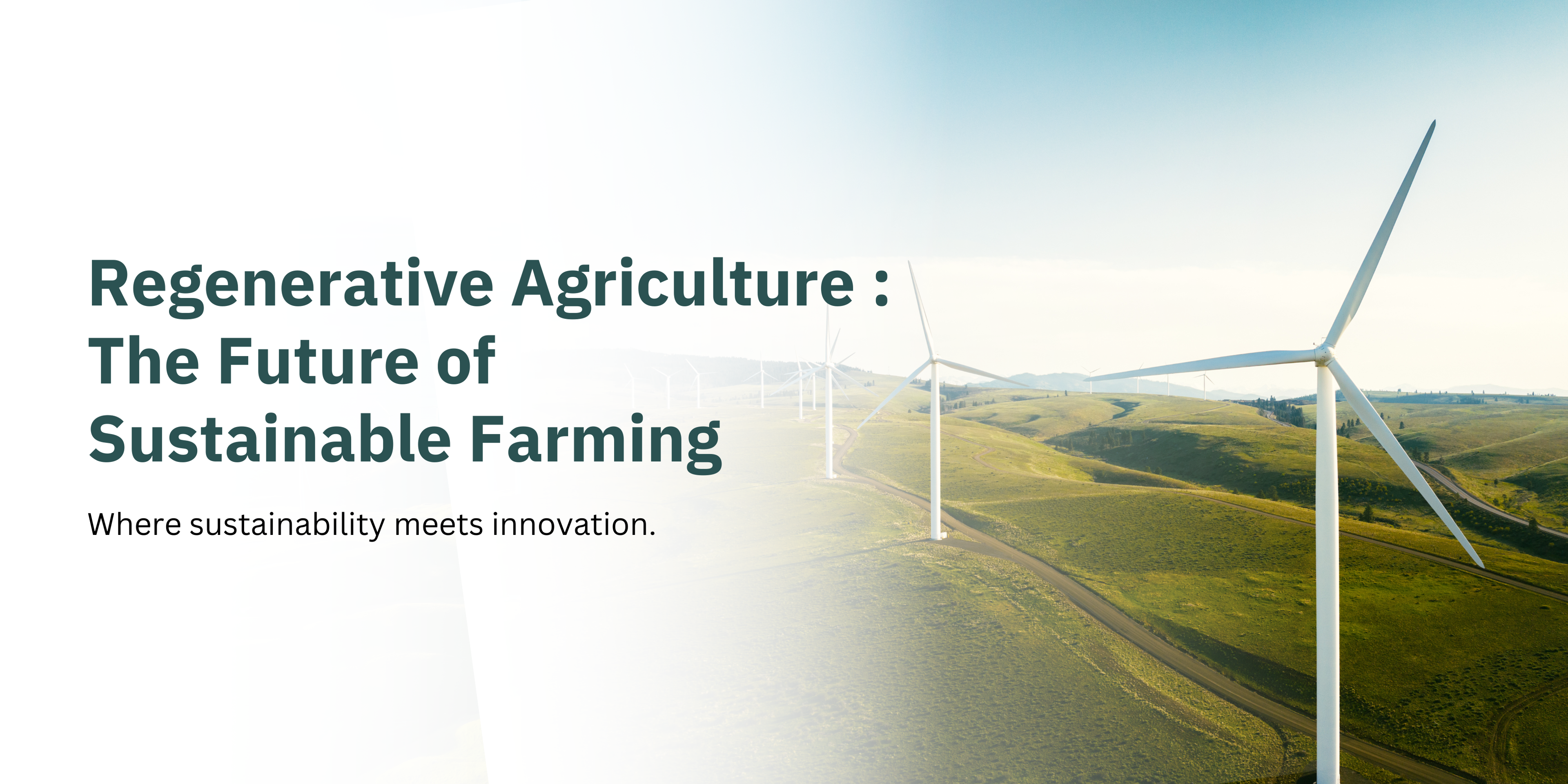 Regenerative Agriculture : The Future of Sustainable Farming-banner