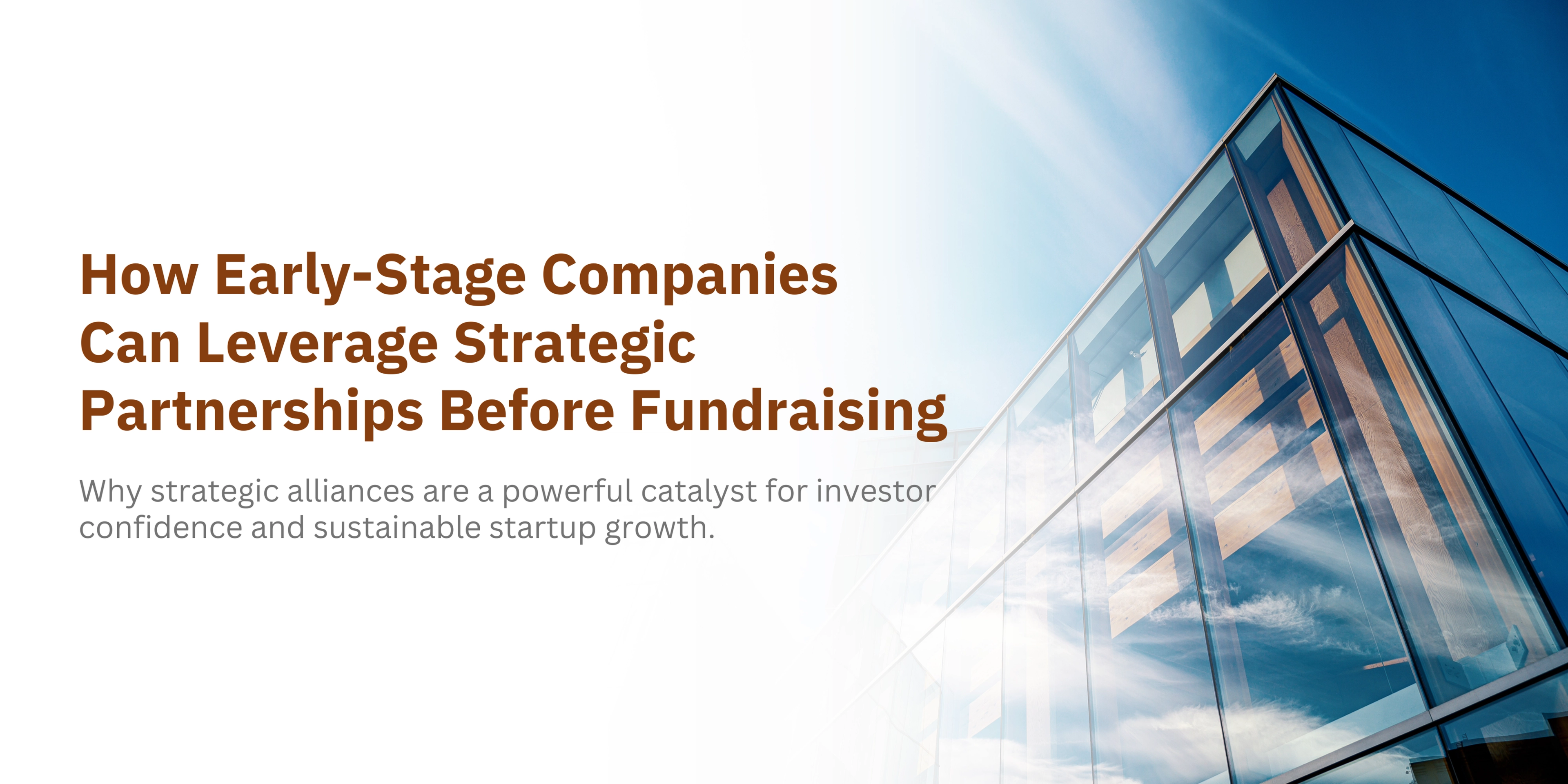 How Early-Stage Companies Can Leverage Strategic Partnerships Before Fundraising-banner