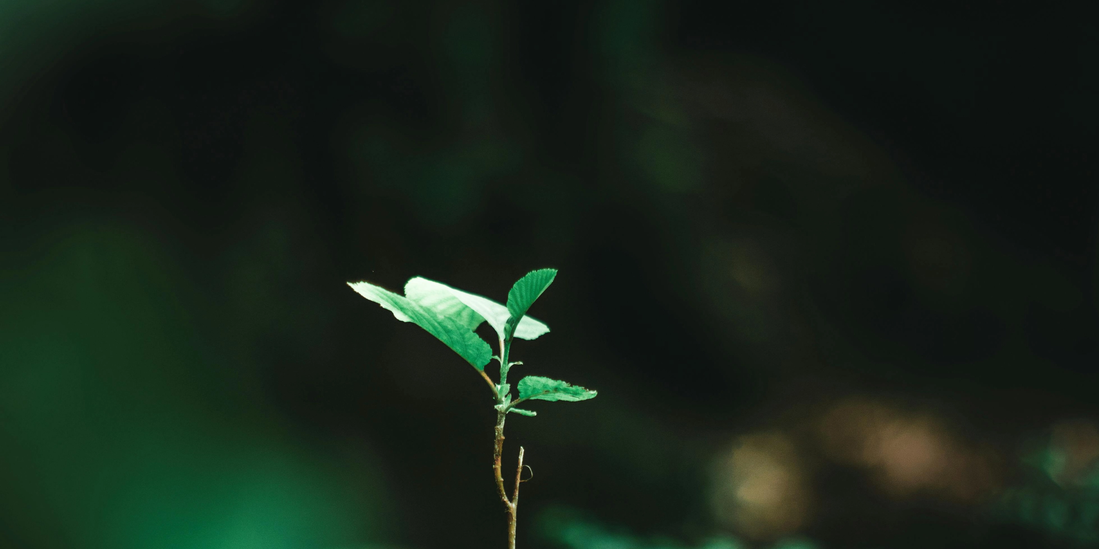 What Makes a Startup’s Unit Economics Investable?-banner