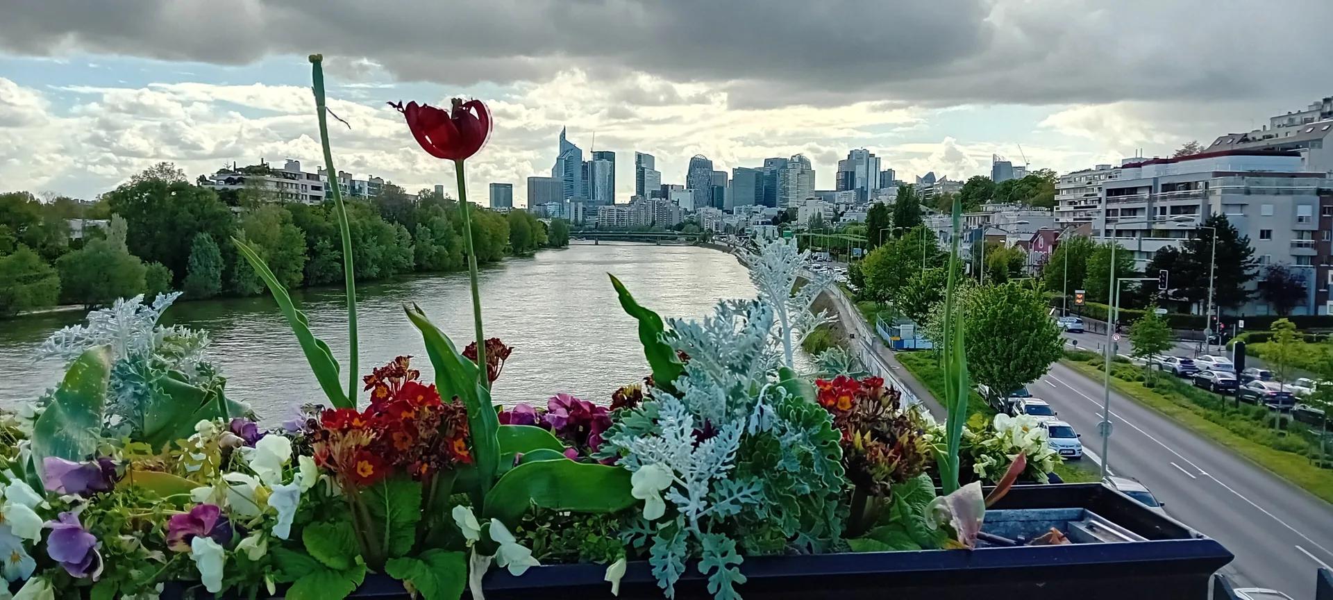 Les tours de La Défense à Courbevoie, vues depuis les quais de Seine.