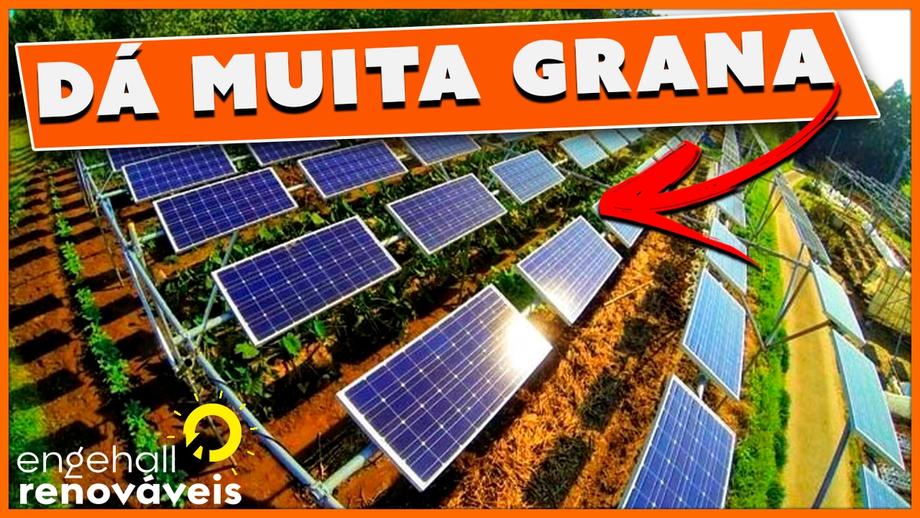 Agro Fotovoltaico - A solução do mercado solar Agro Fotovoltaico - A solução do mercado solar