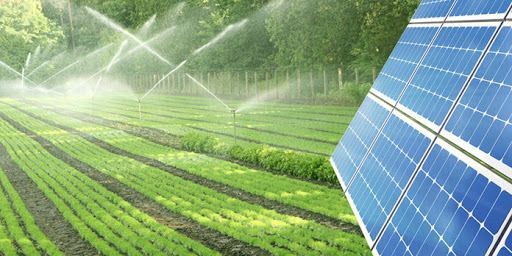 Sistema para irrigação Sistema para irrigação