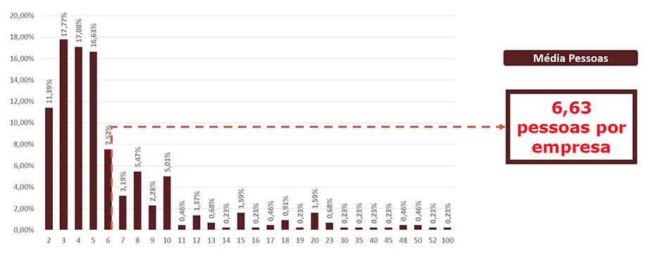 Energia Solar no Brasil - Quantidade de Pessoas que Atuam em Energia Solar por Empresa Energia Solar no Brasil - Quantidade de Pessoas que Atuam em Energia Solar por Empresa