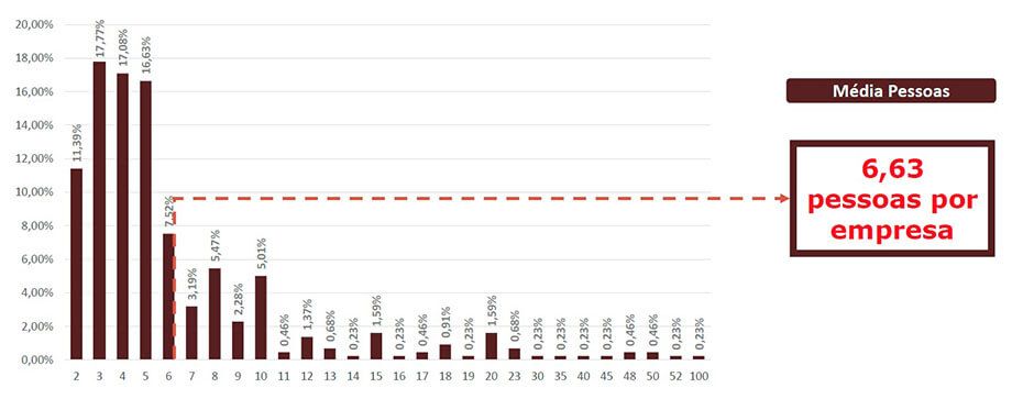 Energia Solar no Brasil - Quantidade de Pessoas que Atuam em Energia Solar por Empresa