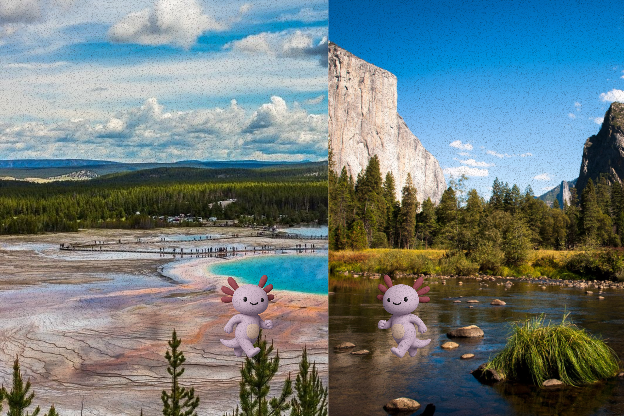 a picture of a landscape with the word axel on it