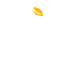 icon of MANGOPROXY