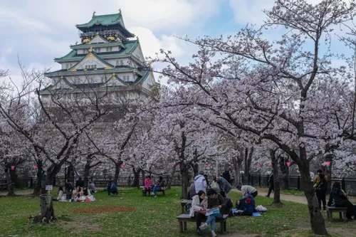 Osaka castle