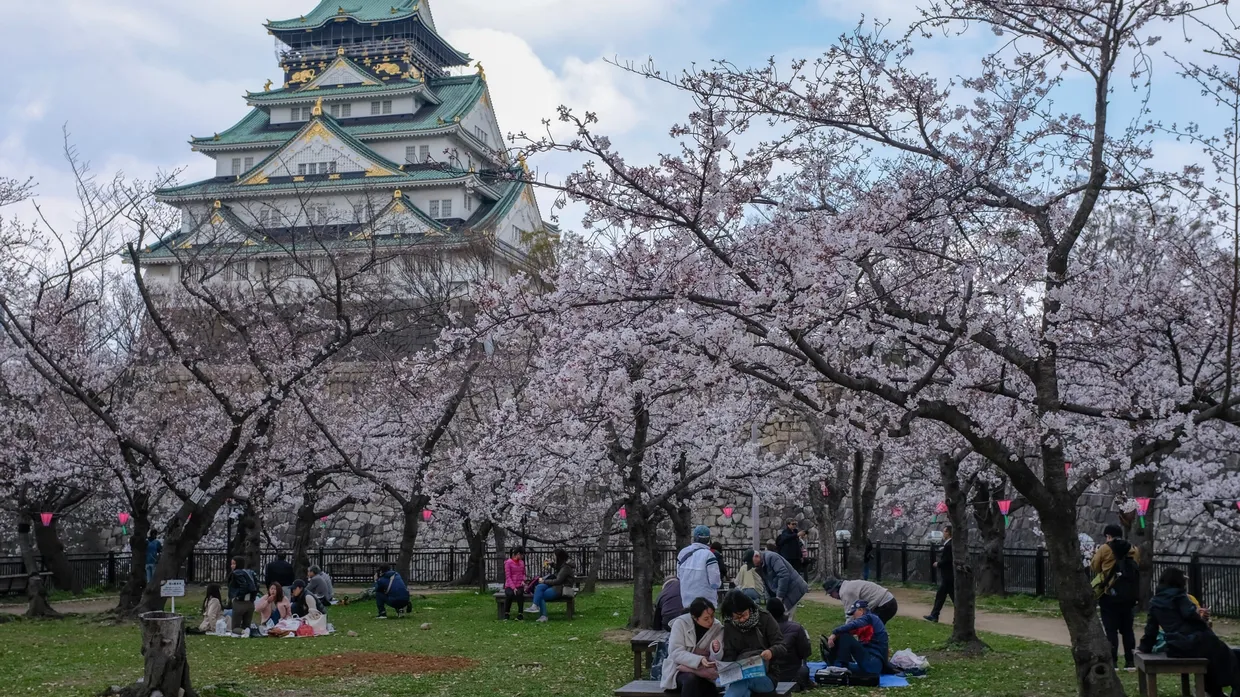 Cover for Spring in Japan: Osaka, Kyoto, Nara