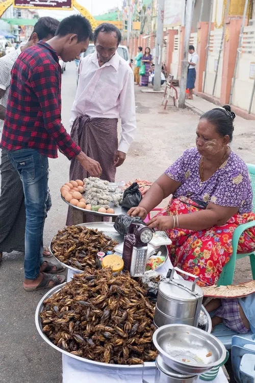 Fried crickets seem to be a common Myanmar snack