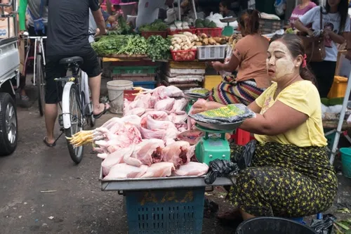 Selling raw chicken on the side of a busy road
