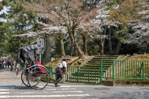 Transport in Nara park