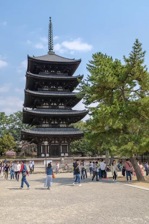 Kōfukuji Five Story Pagoda 興福寺五重塔