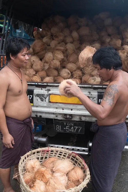 Coconut delivery