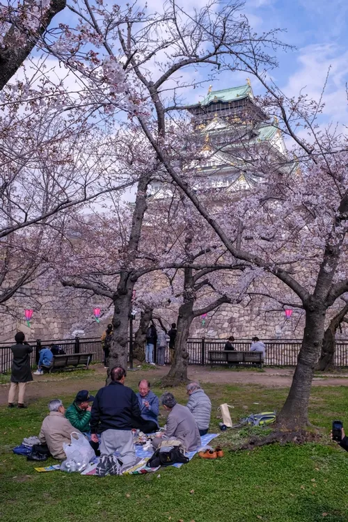 Bunch of mates in the park next to Osaka castle