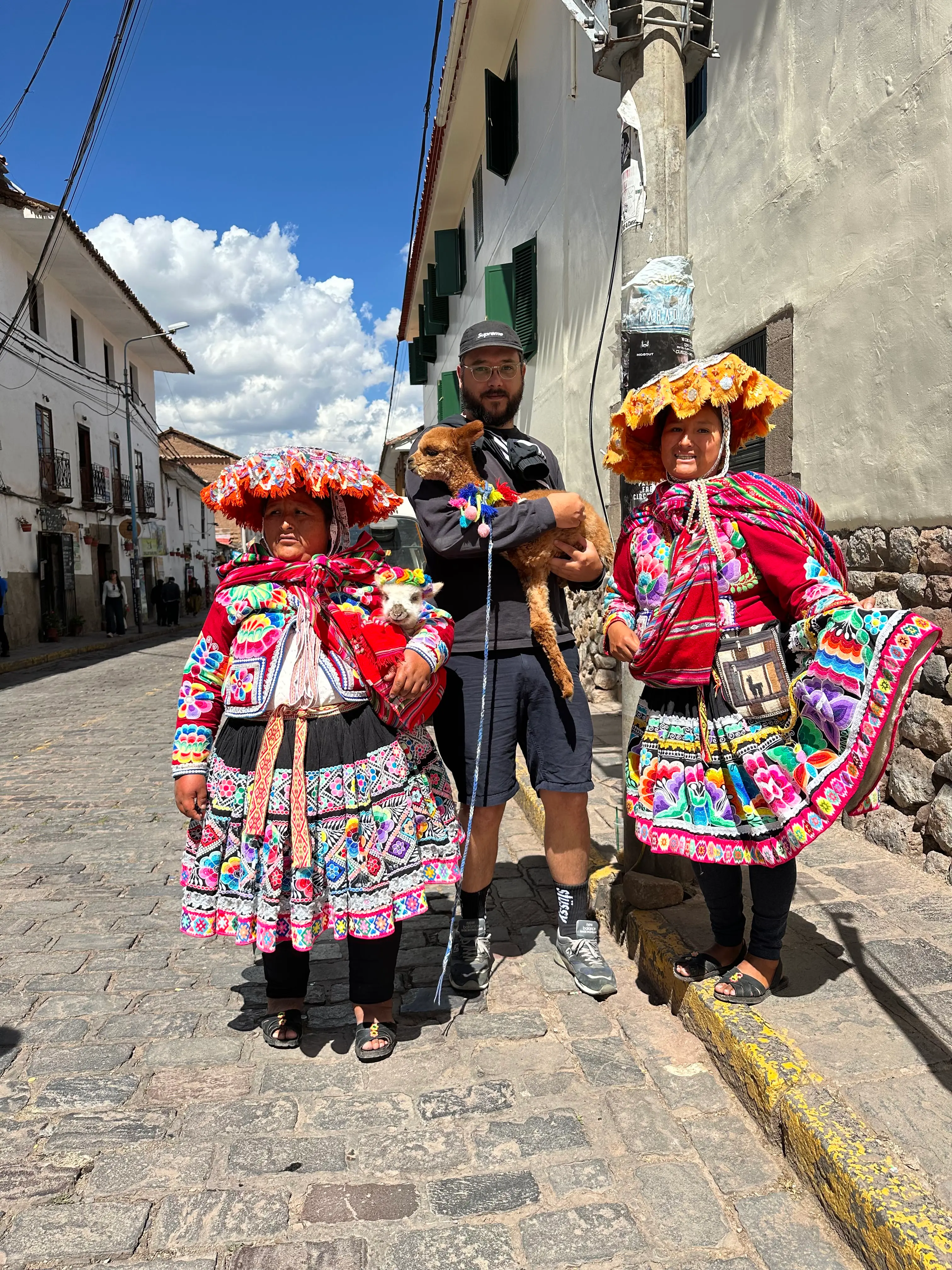 Baby Llamas in Cusco, Peru
