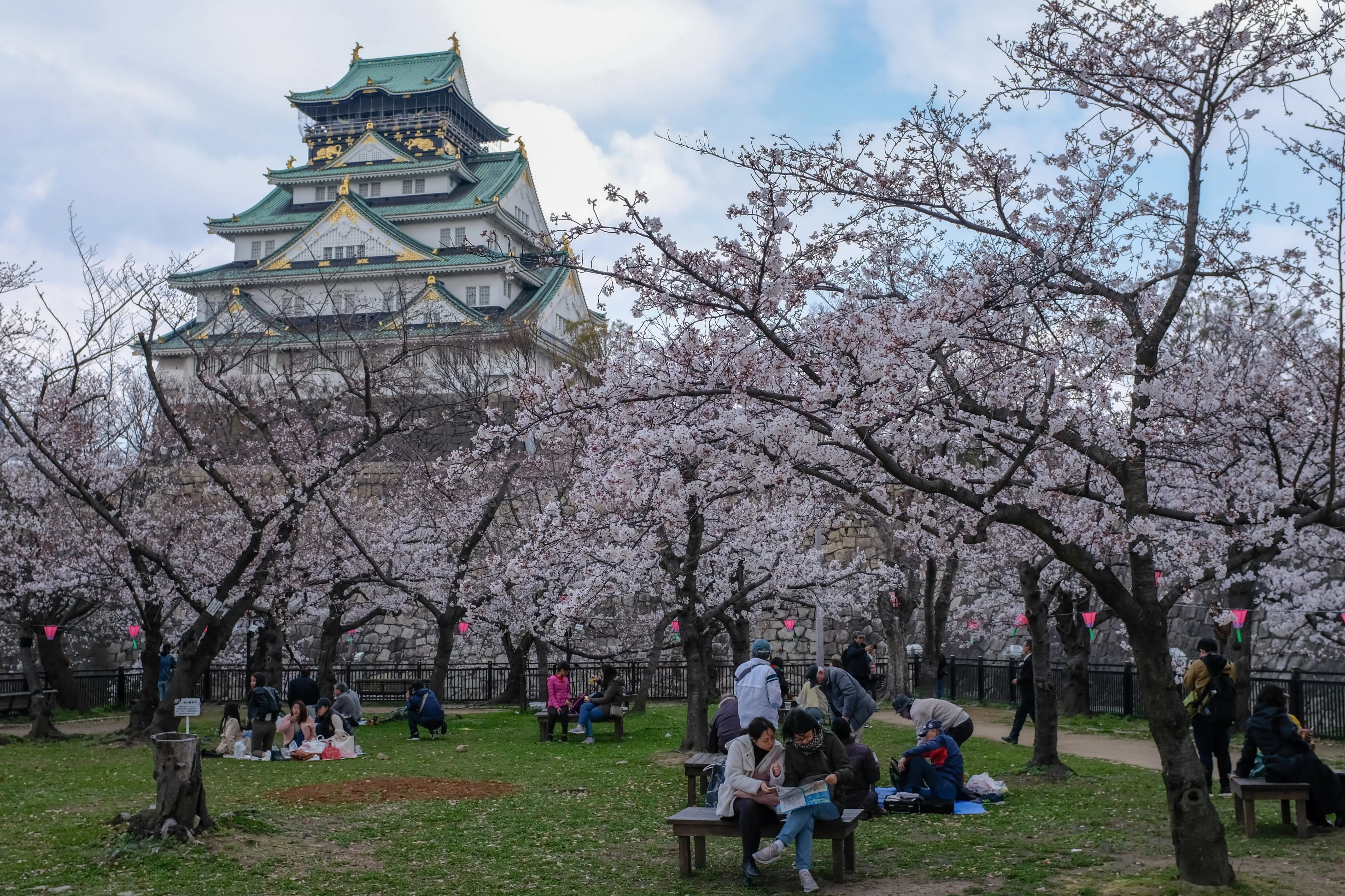 Spring in Japan: Osaka, Kyoto, Nara
