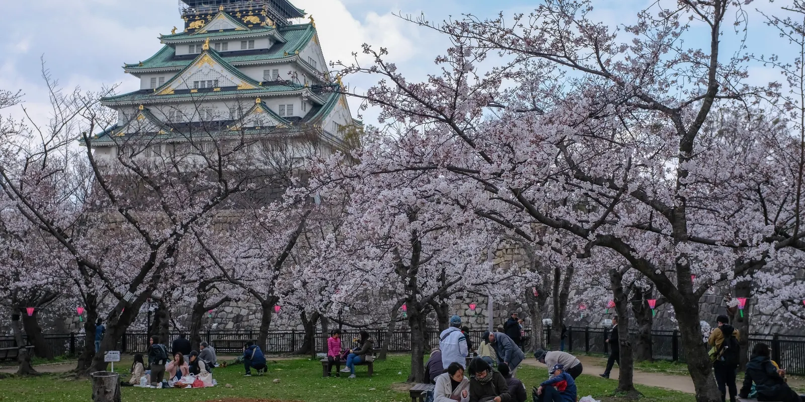 Spring in Japan: Osaka, Kyoto, Nara