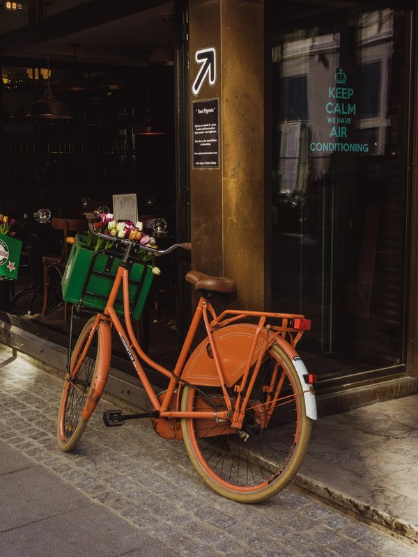 Orange Bicycle | Art Lasovsky