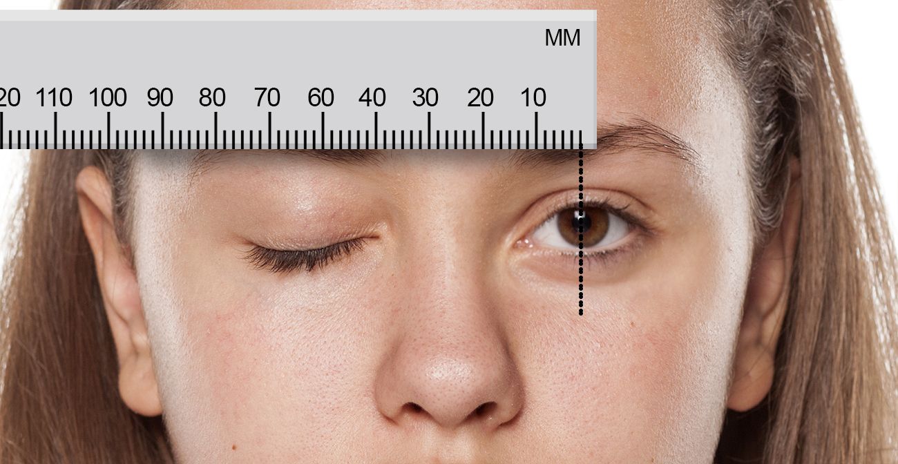 距離 瞳孔 平均 間 人体寸法データベース 1991
