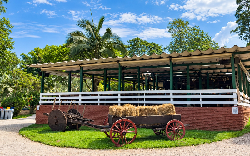 Restaurante da fazendinha