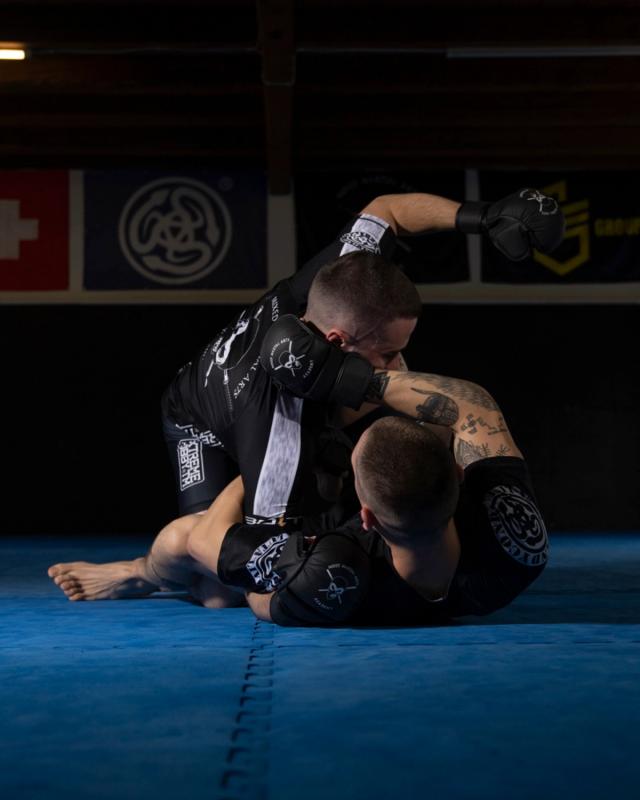 Mixed Martial Arts all levels