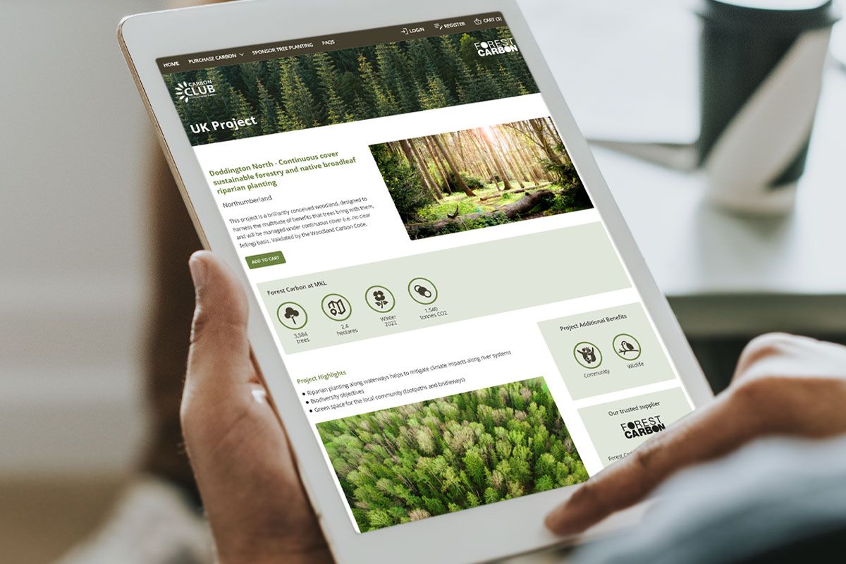 Forest Carbon project interface shown on a device