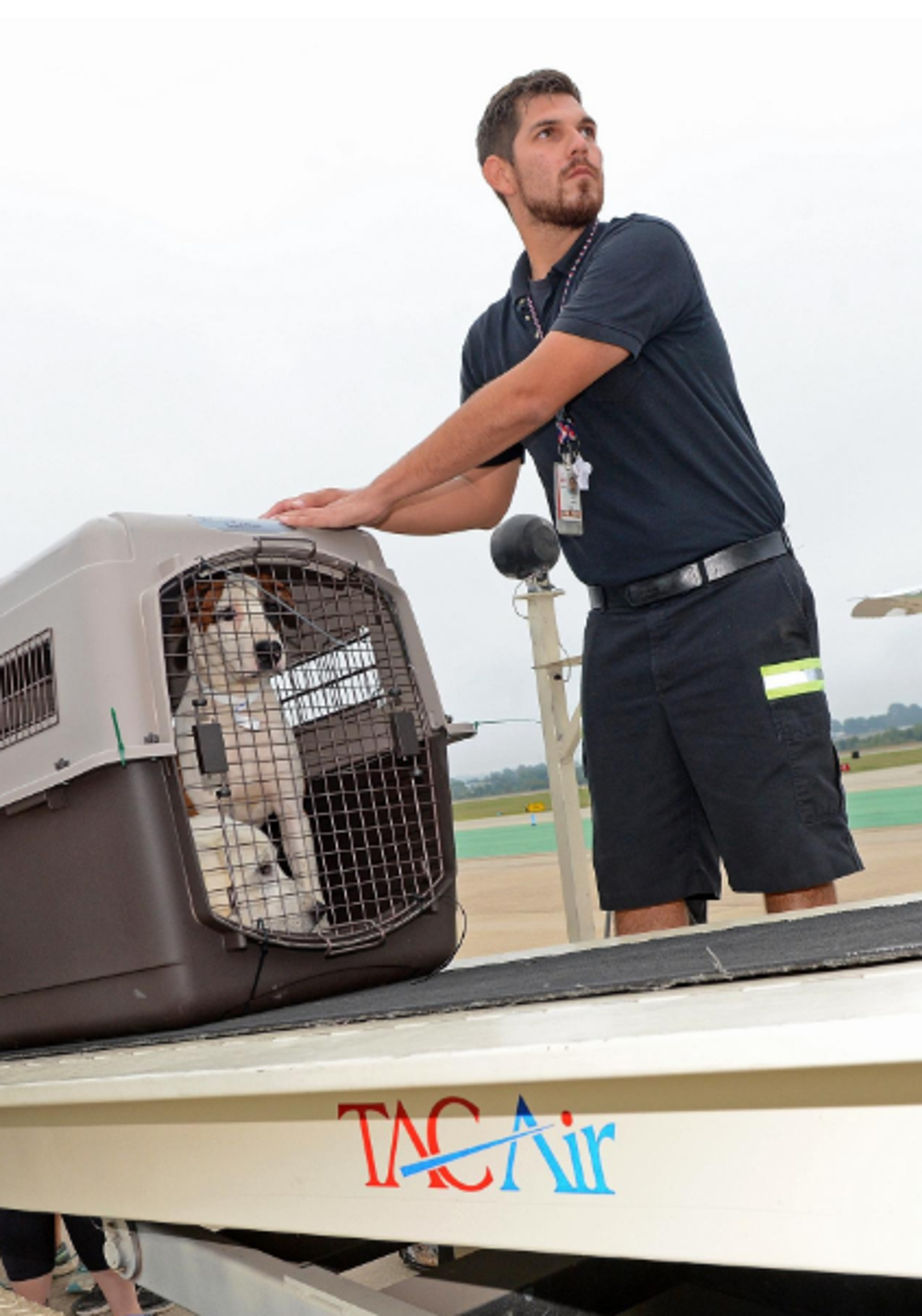 TAC Air - FSM Helps Animals Get Chance at "Fur-ever" Homes