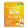 Quitine Nicotine Gum 4mg Fruit 240 Pieces