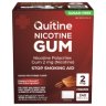 Quitine Nicotine Gum 2mg Cinnamon 240 Pieces