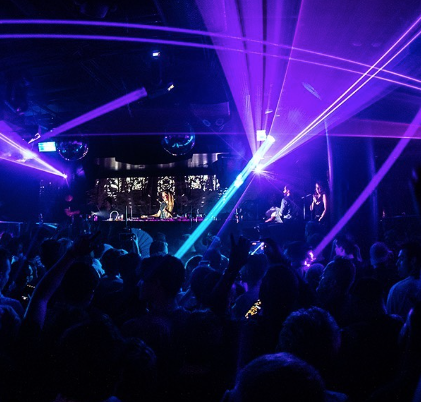 Sound-Bar opening night with blue and purple lights