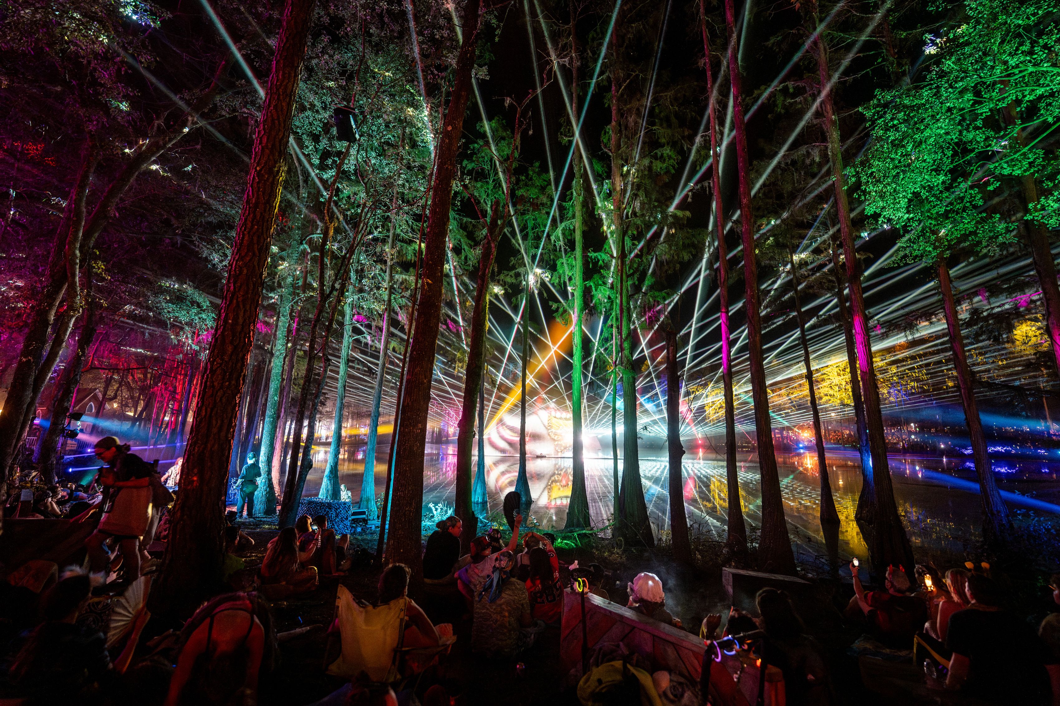 Lasers coming Through the woods at Hulaween fest