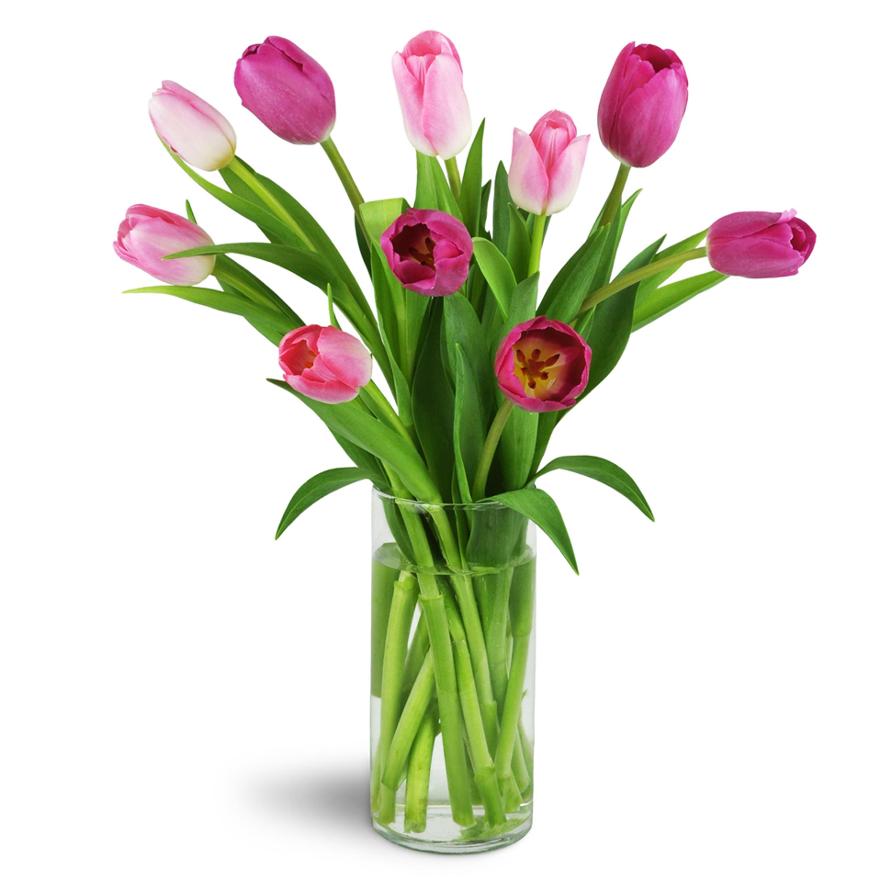 Tulip arrangement