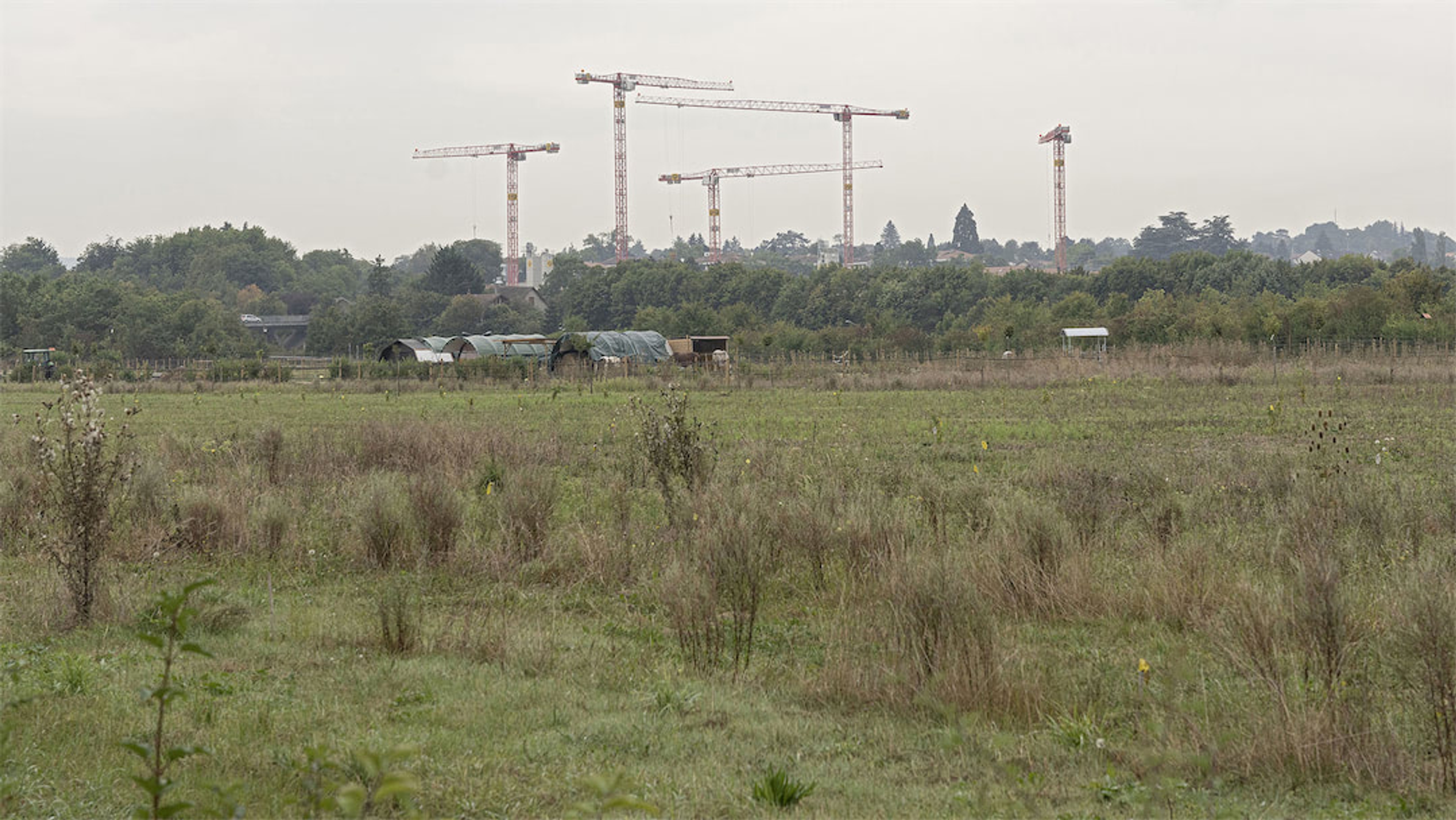 © Matthieu Gafsou, Etat de Genève