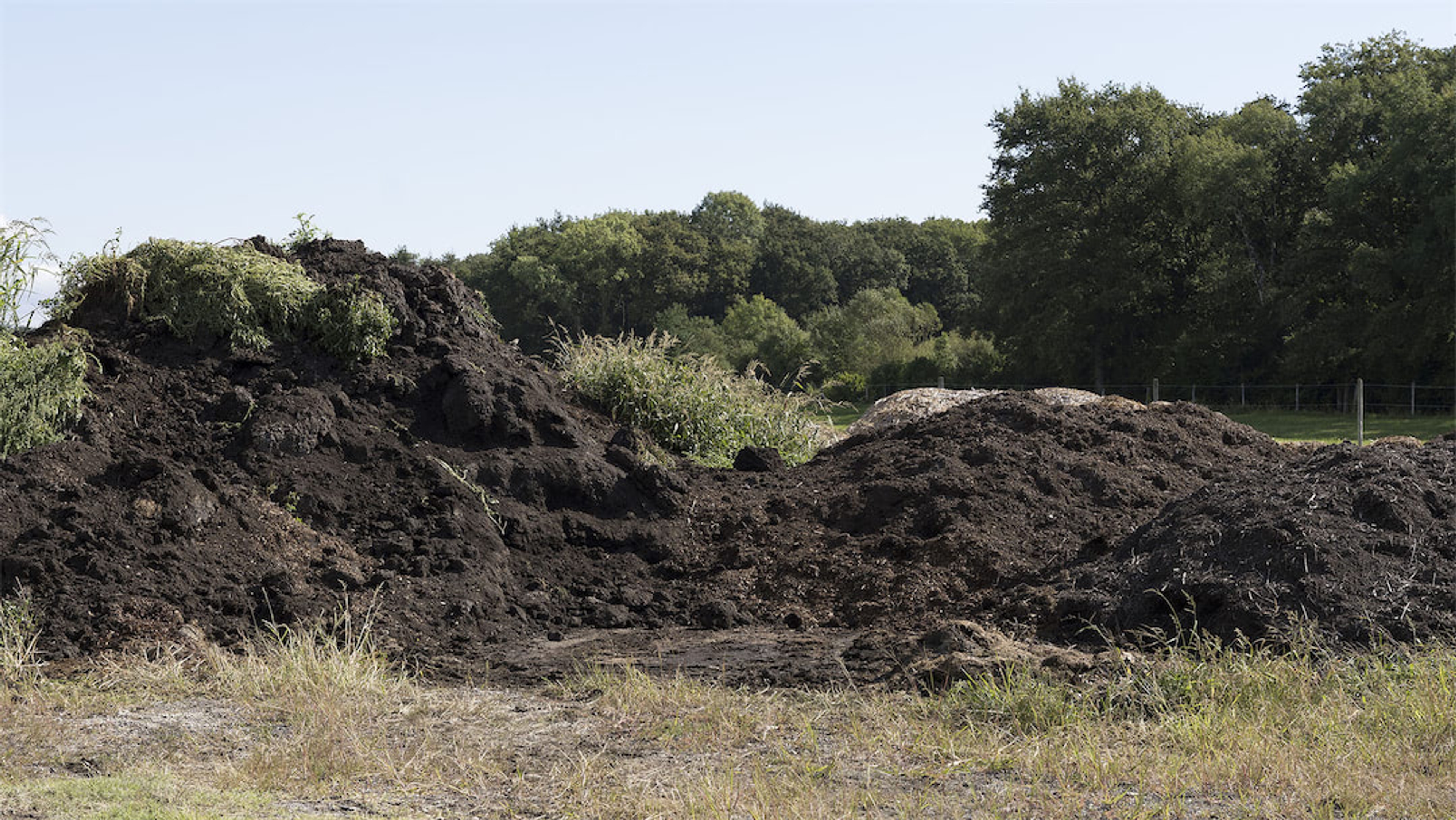 © Matthieu Gafsou, Etat de Genève