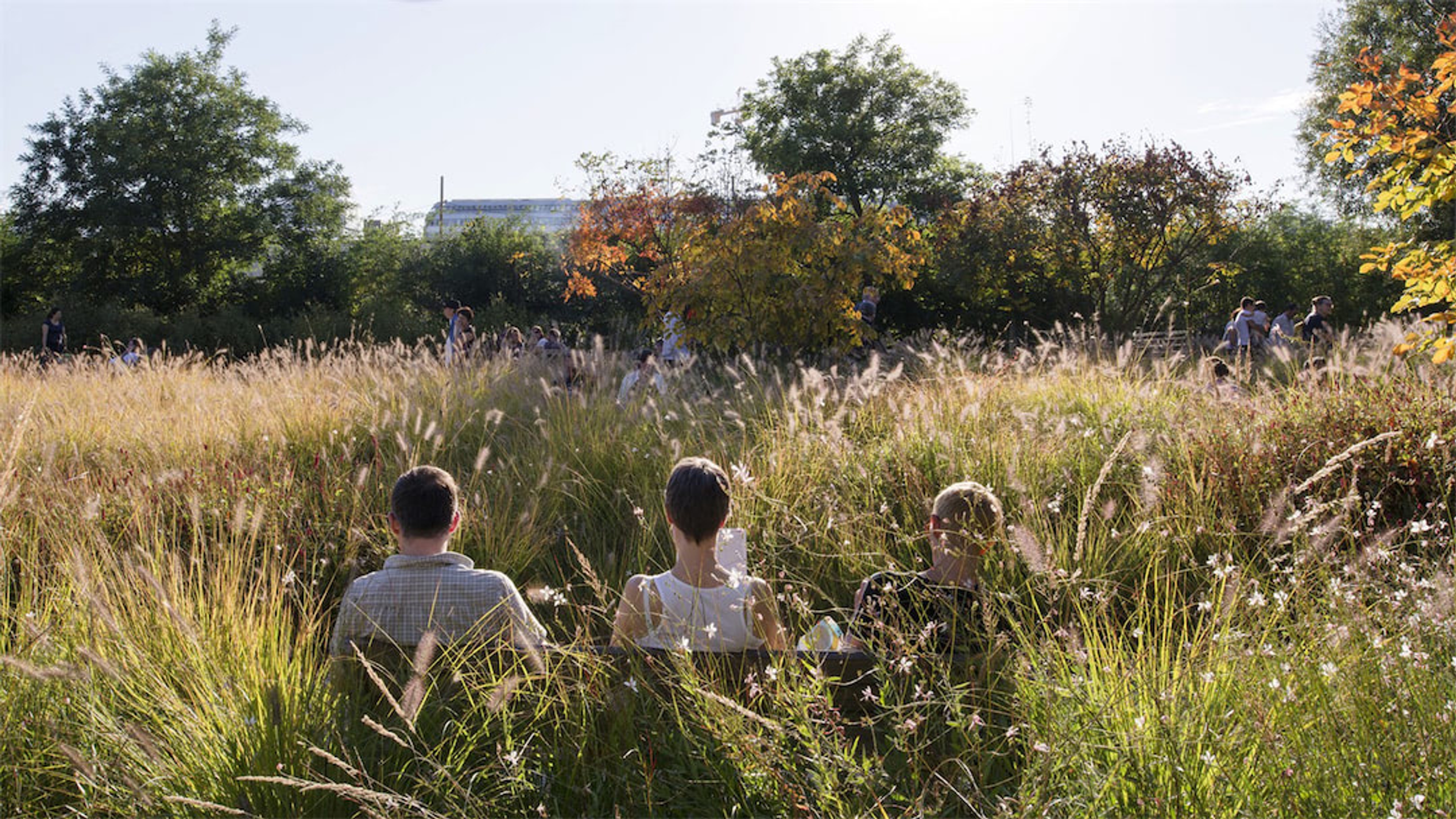 Parc Martin Luther King à Paris, © Martin Argyroglo