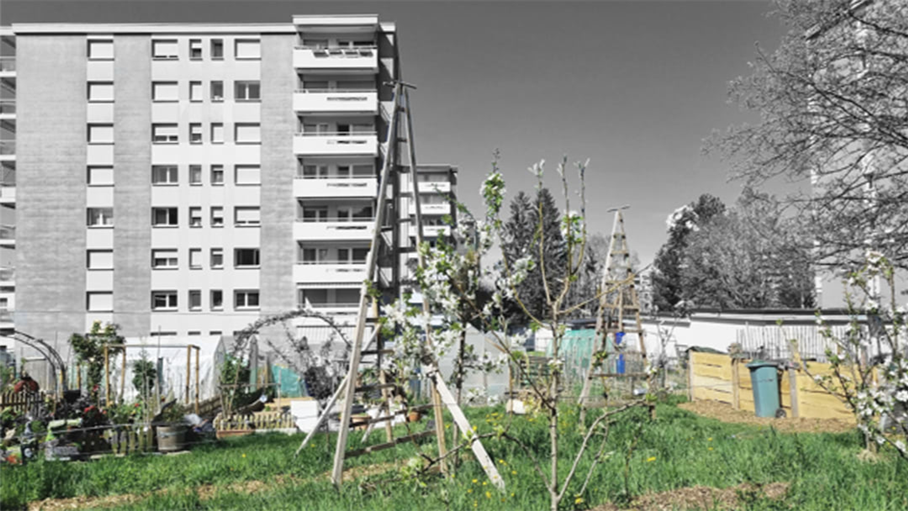 @ AgriUrbs HEIA FR 2024