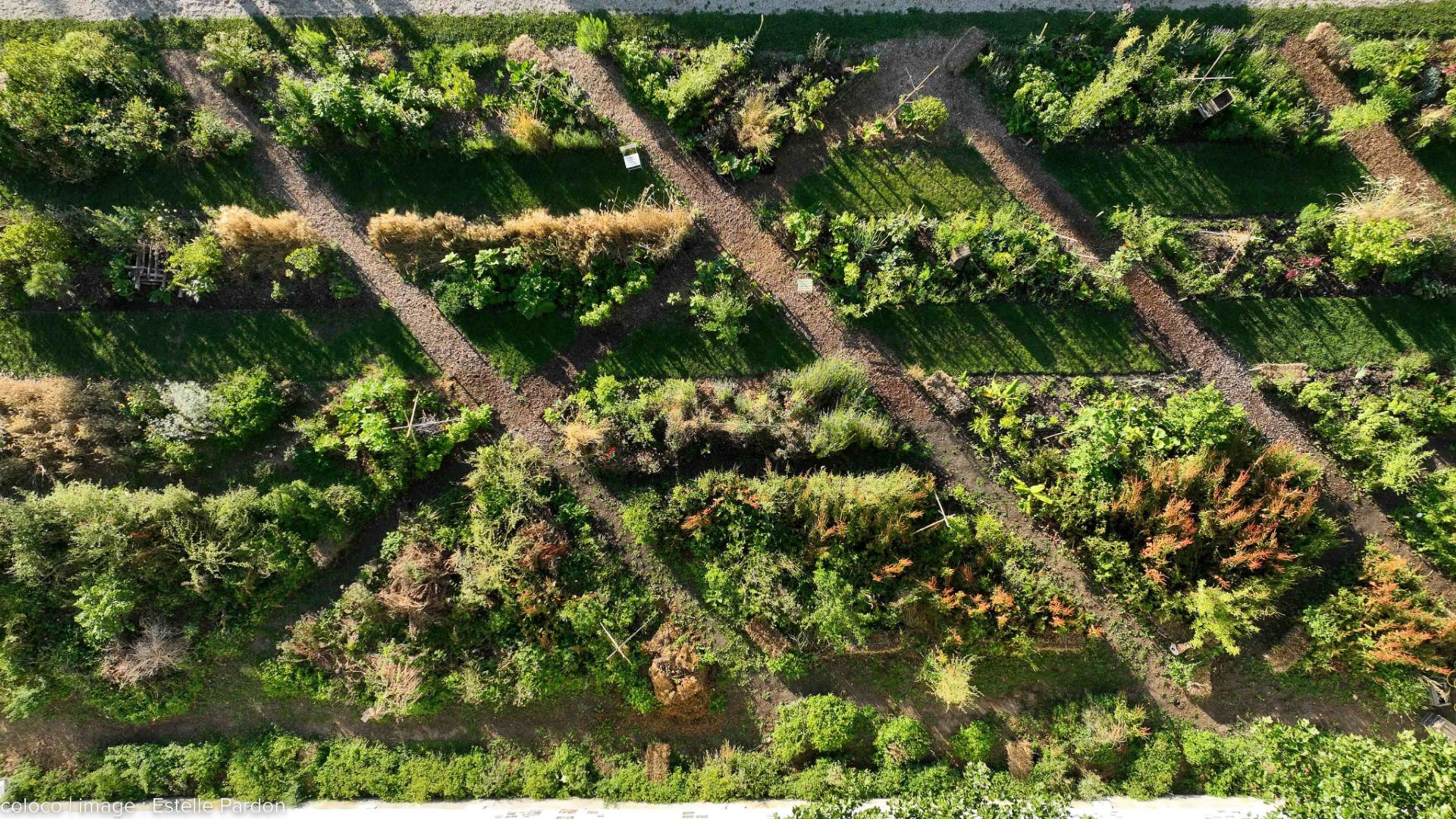 © Coloco / Emmanuel Gabily