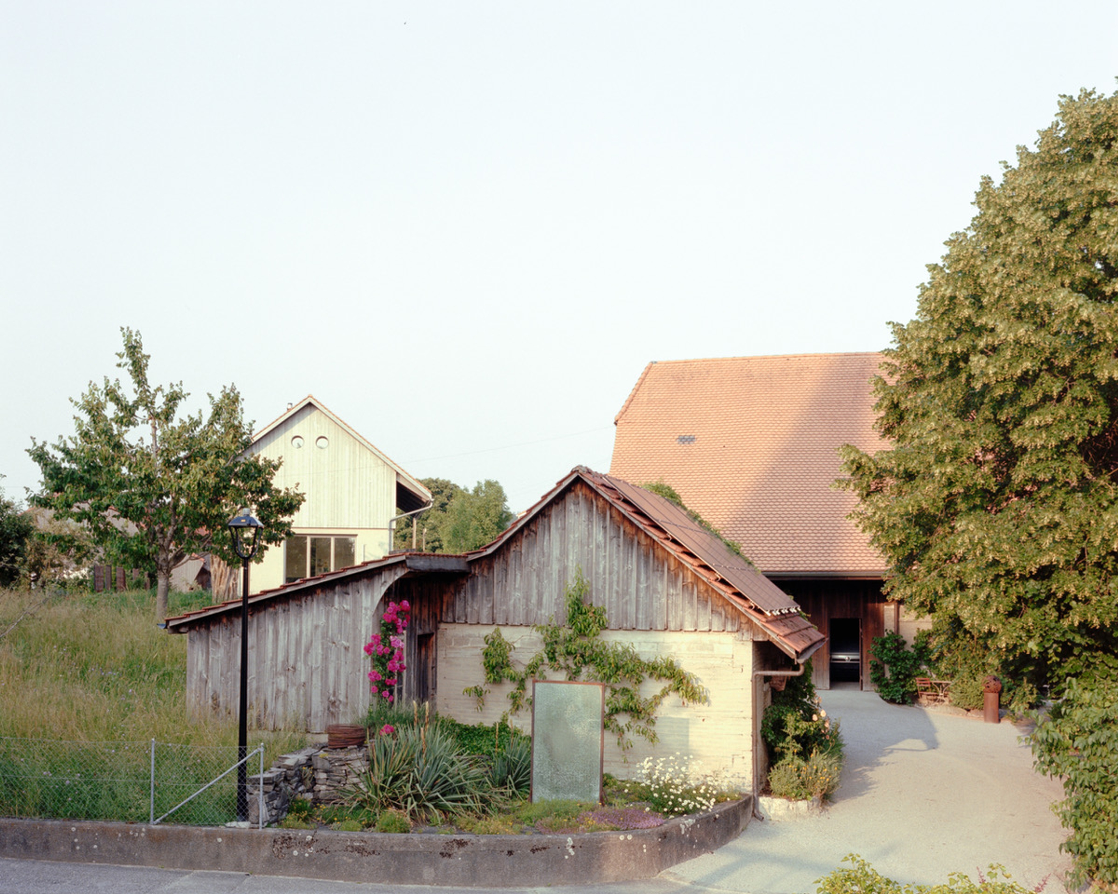 © Federico Farinatti