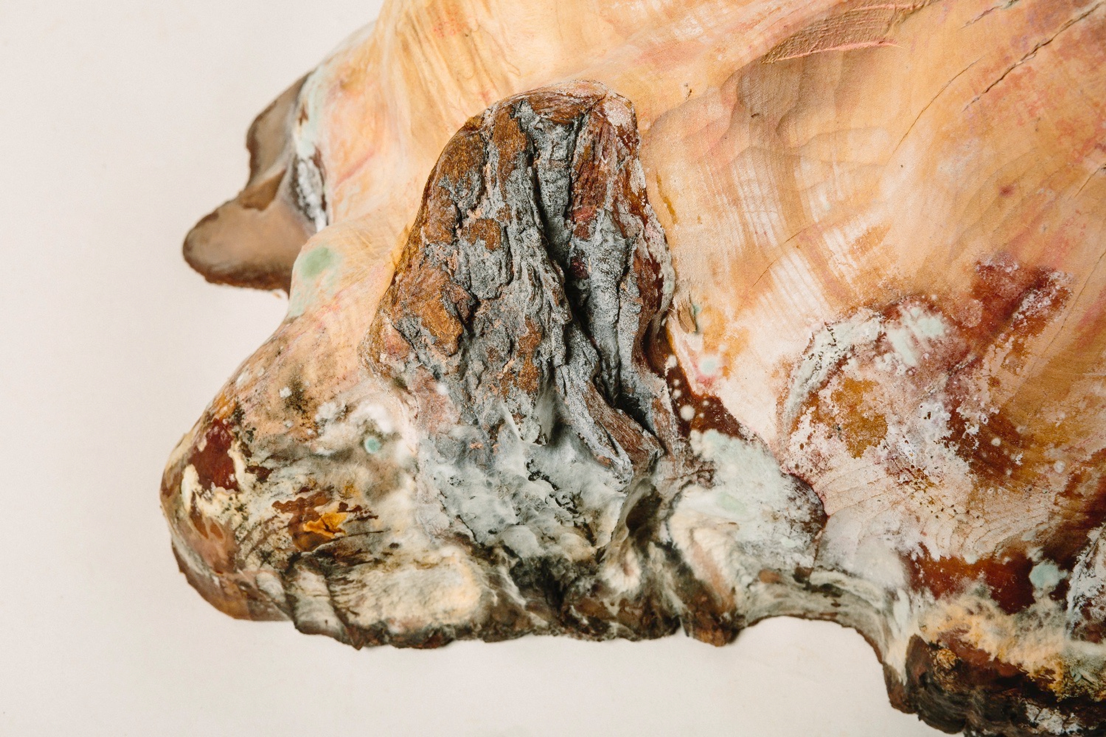 Calculus of an Infinite Rot, photo © Gabriel Li