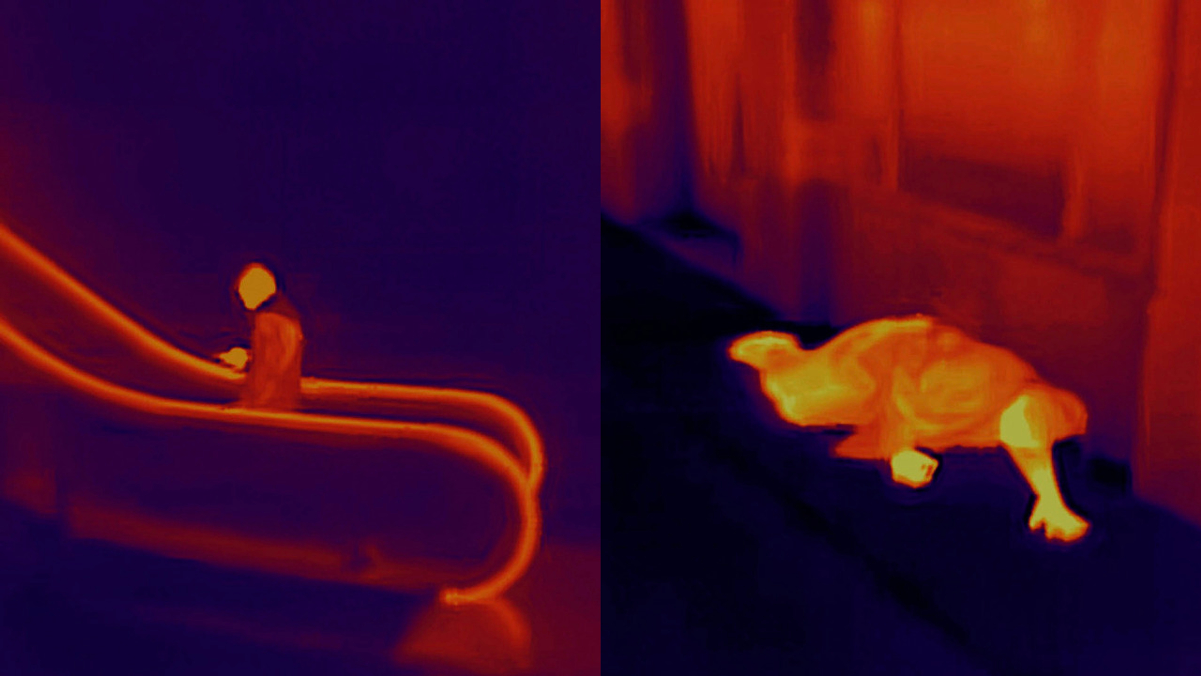 VIRUS, 2020 © Antoine d'Agata