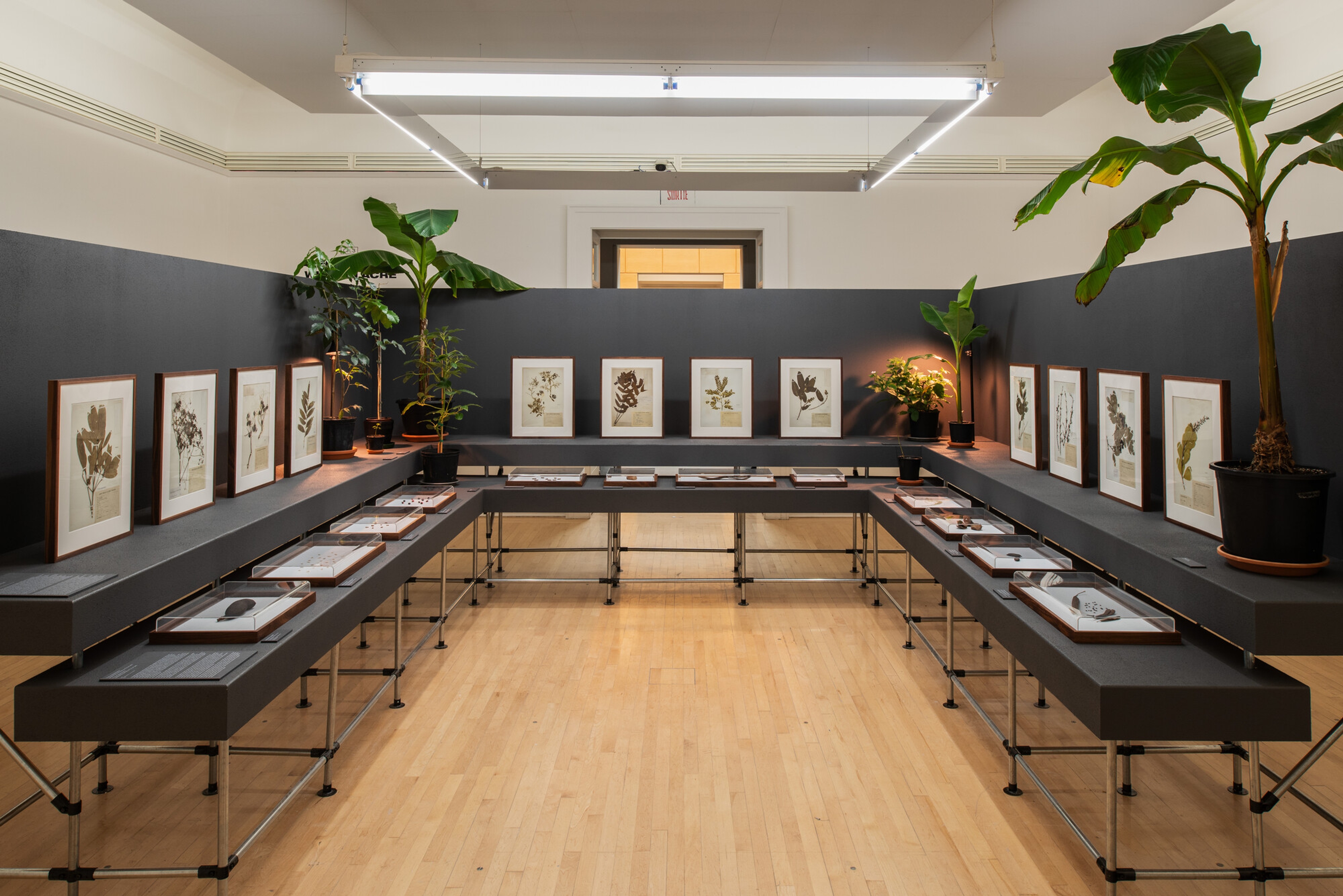 « With an Acre », Installation view, CCA, 2025 ©Matthieu Brouillard/CCA