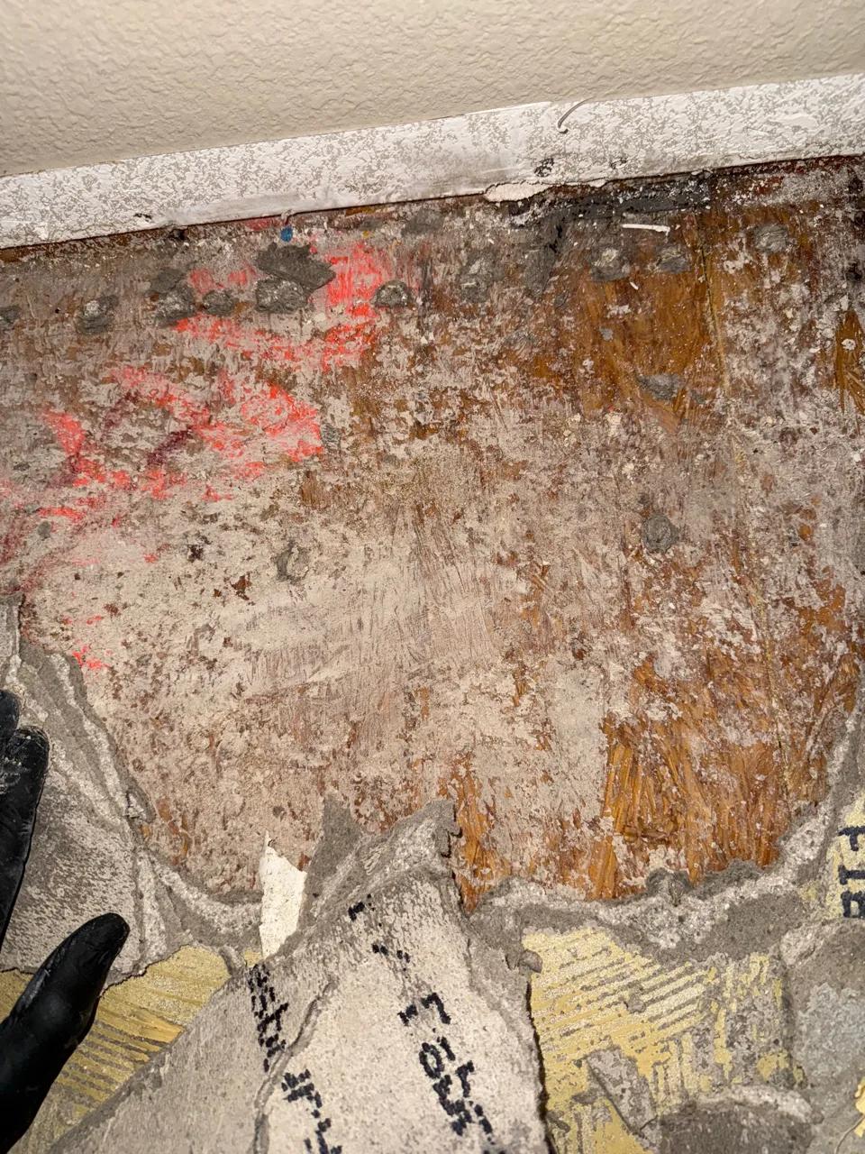 Mold growth and contaminated baseboard framing exposed during mold remediation
