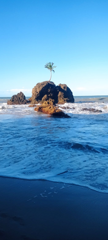 Litoral sul 1