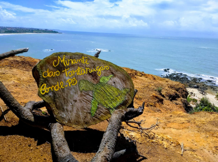 Litoral sul buggy