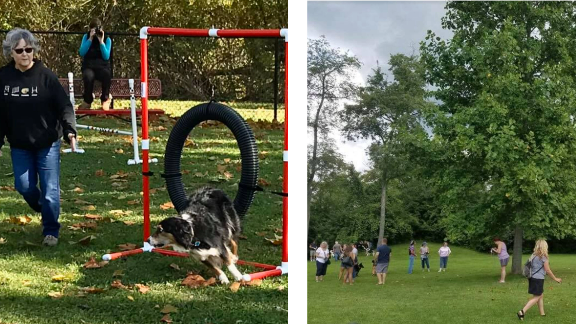 Community members play with their dogs at the Ruff & Tumble Dog Park