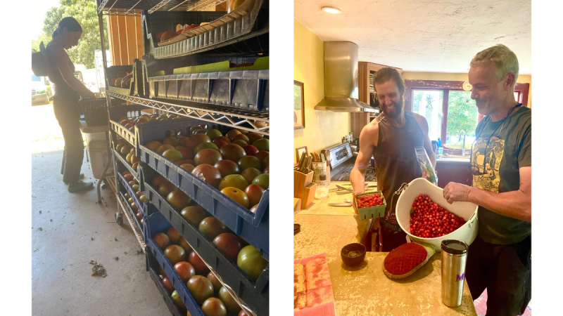 Two photos of North Tabor Farm’s produce being organized and processed. 