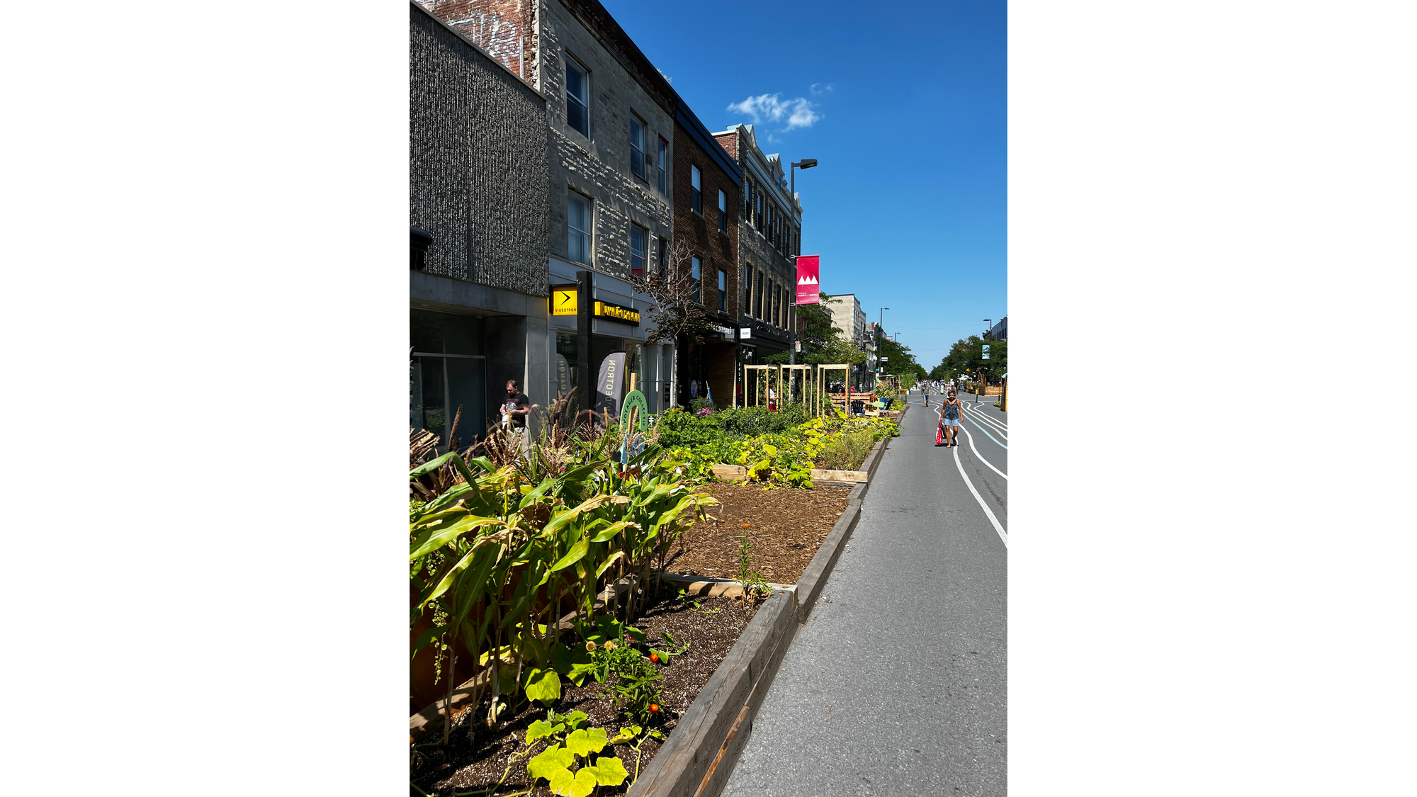 Garden space in what was once a parking space.
