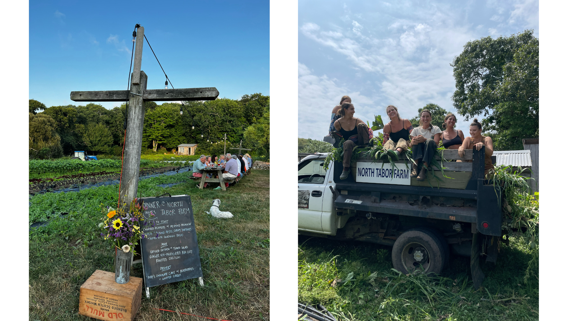 Two photos of North Tabor Farm bright green in the summertime. 