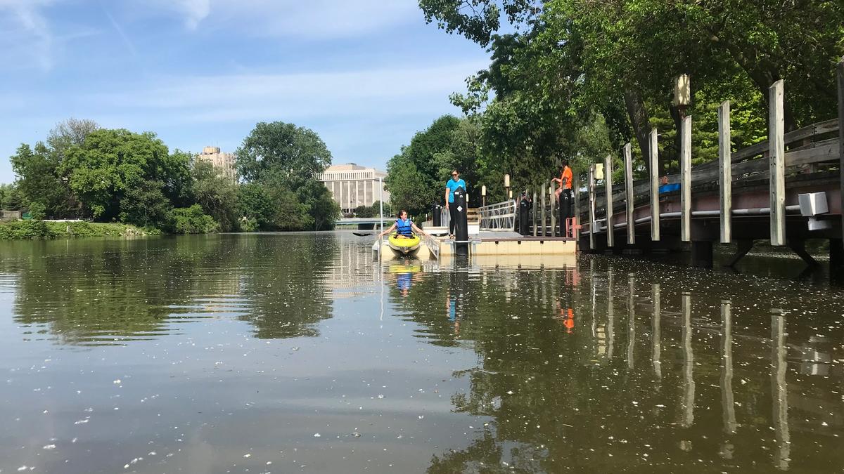 An accessible kayak and canoe boat launch.