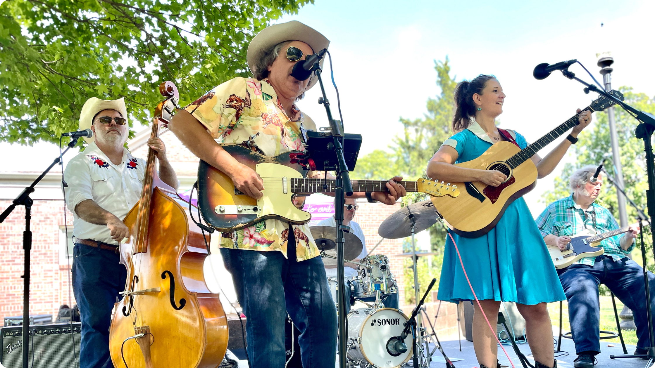 A country band plays in Garfield Park in Indianapolis, Indiana.